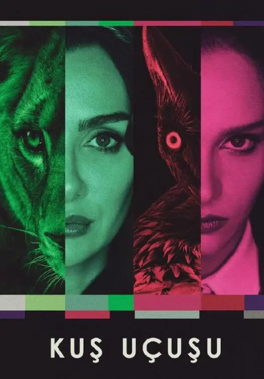 《直线篡位》第三季:权力的游戏再升级,阴谋与反转的终极盛宴!剧情深度解析,角色命运走向全预测!